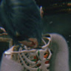 Meet your Posher, Nor